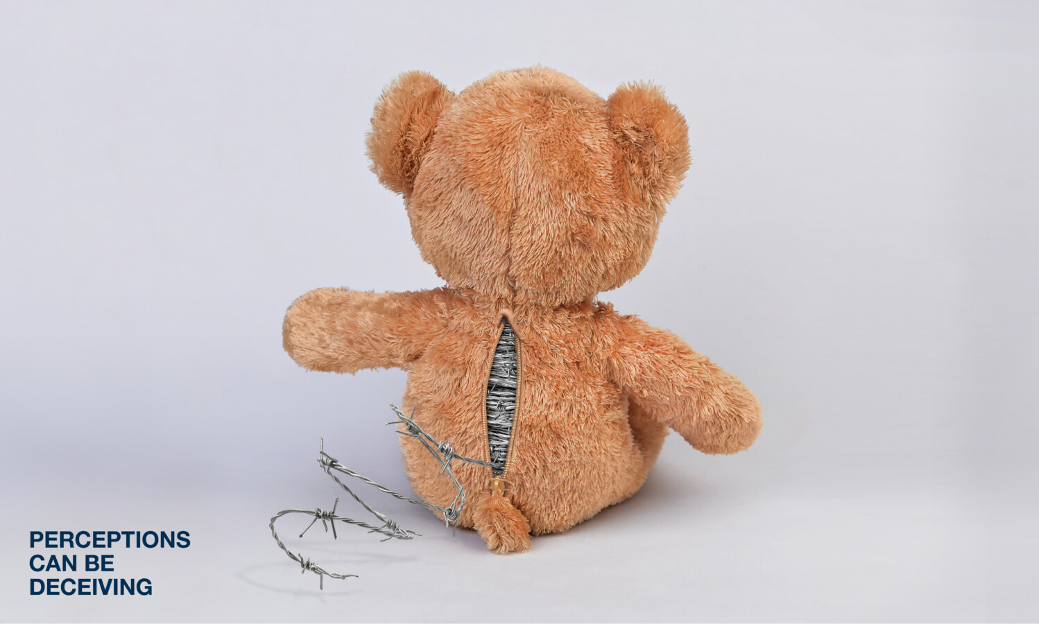PIM More than meets the eye Teddy