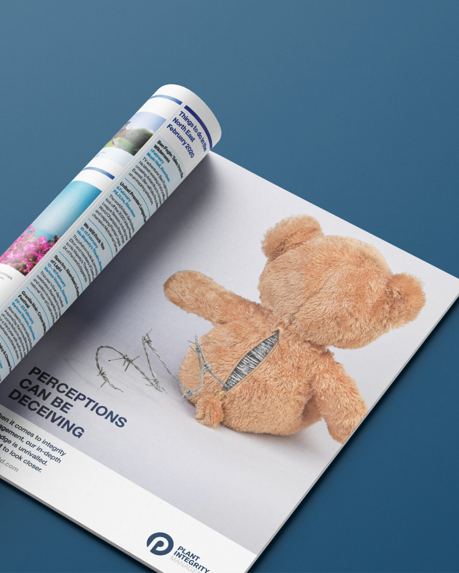 PIM More than meets the eye teddy advert