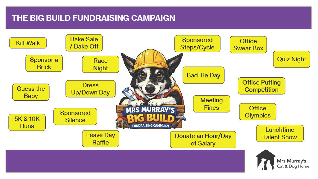 Fundraising campaign ideas suggestions