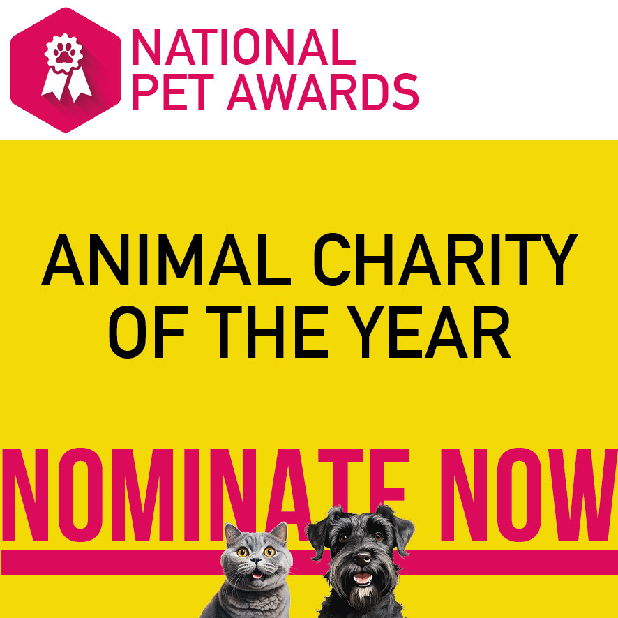 Animal charity of year 26 nomination open