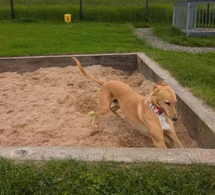 Hunter sandpit 26