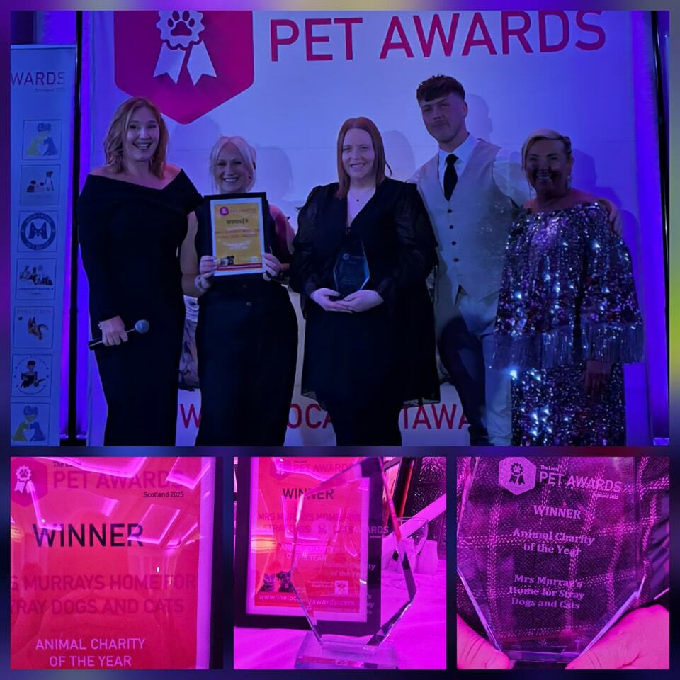 Pet awards 2025